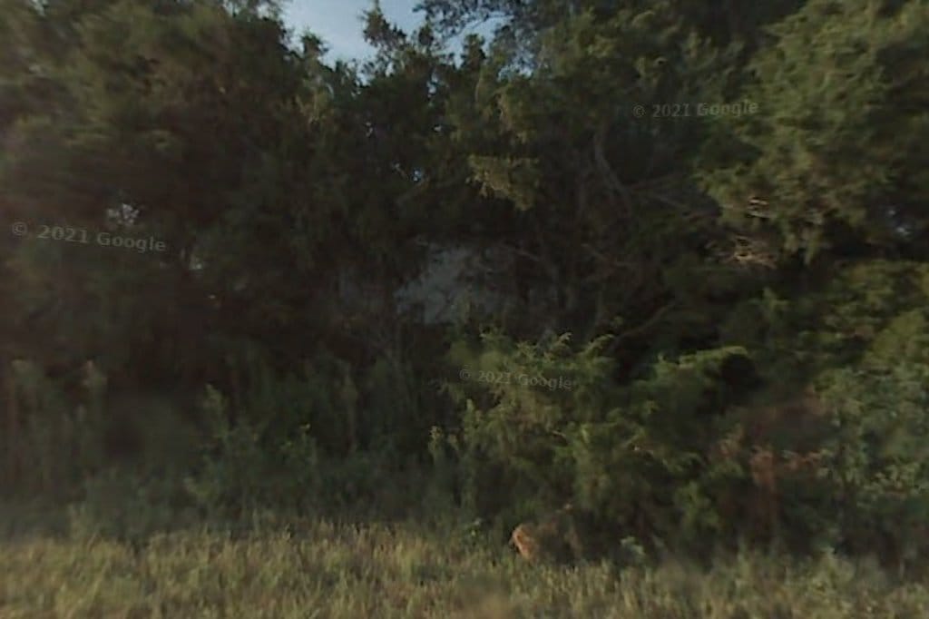 Animal Shelter in Sedgwick County, KS The County Office