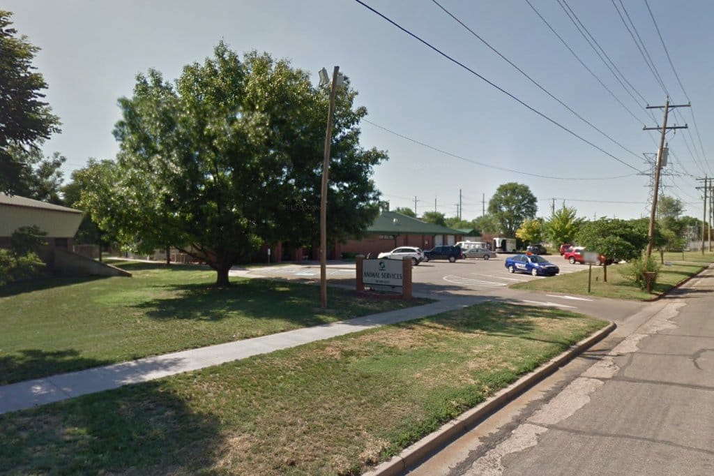 Animal Shelters in Salina, KS Pets TheCountyOffice