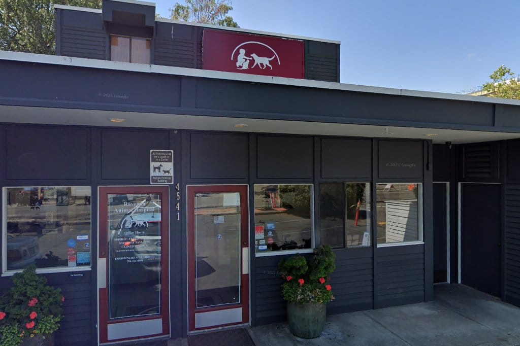 Animal Hospital in King County, WA The County Office