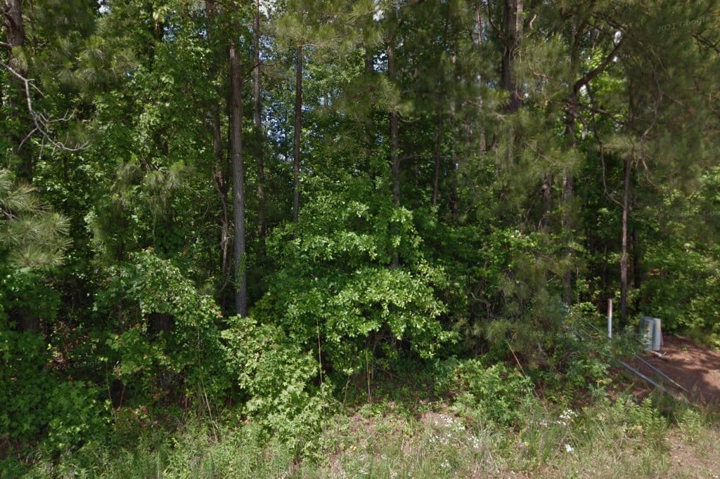 Animal Shelter in Horry County, SC The County Office