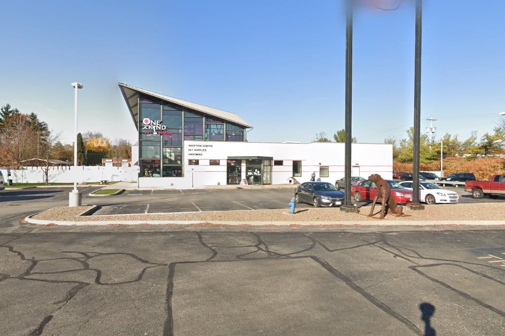 Animal Shelters in Akron, OH Find Paw Pal