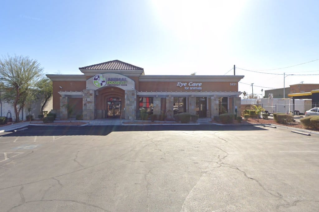 Animal Hospital in Las Vegas, NV CountyInfo