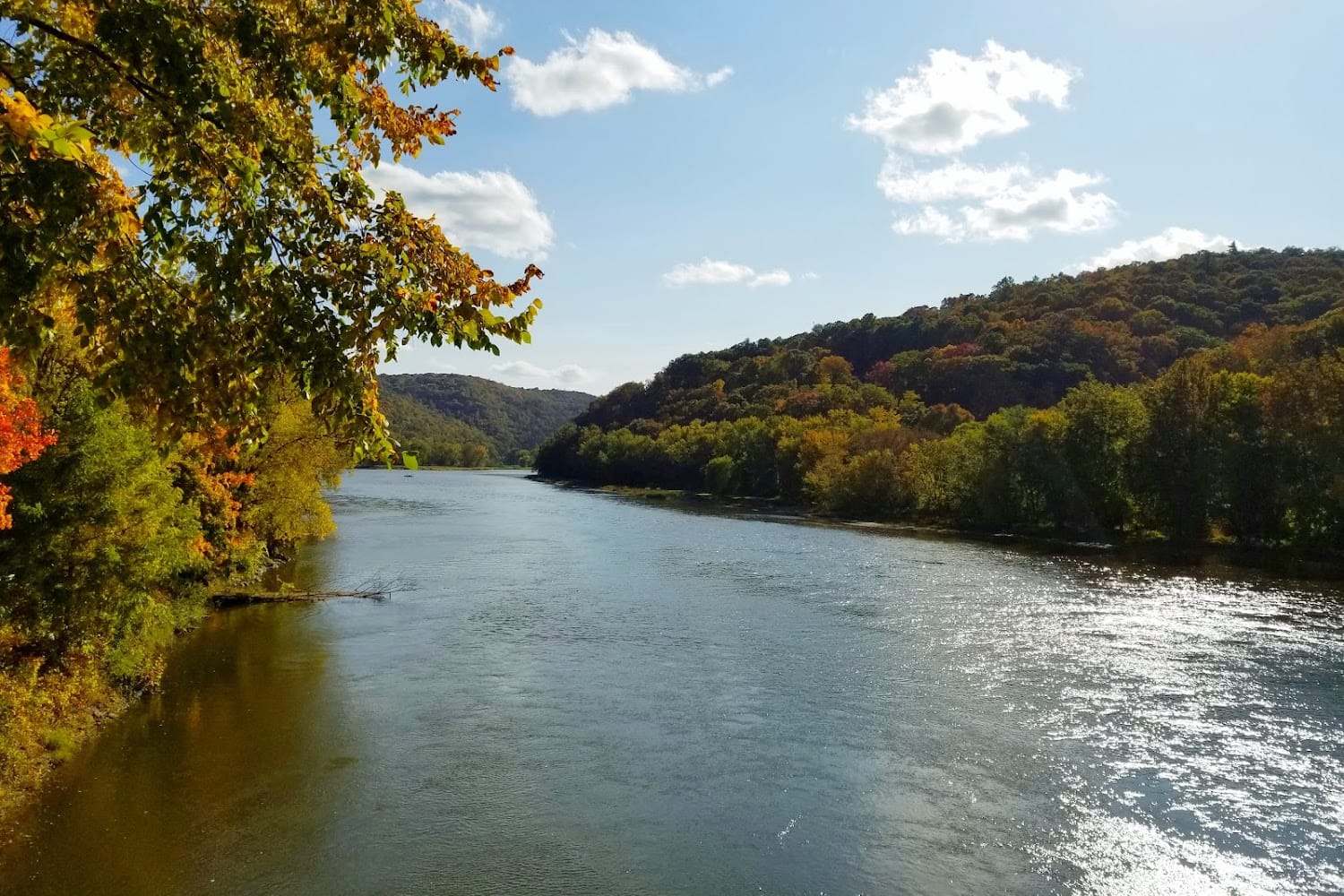 Venango County Humane Society in Seneca, PA Find Paw Pal