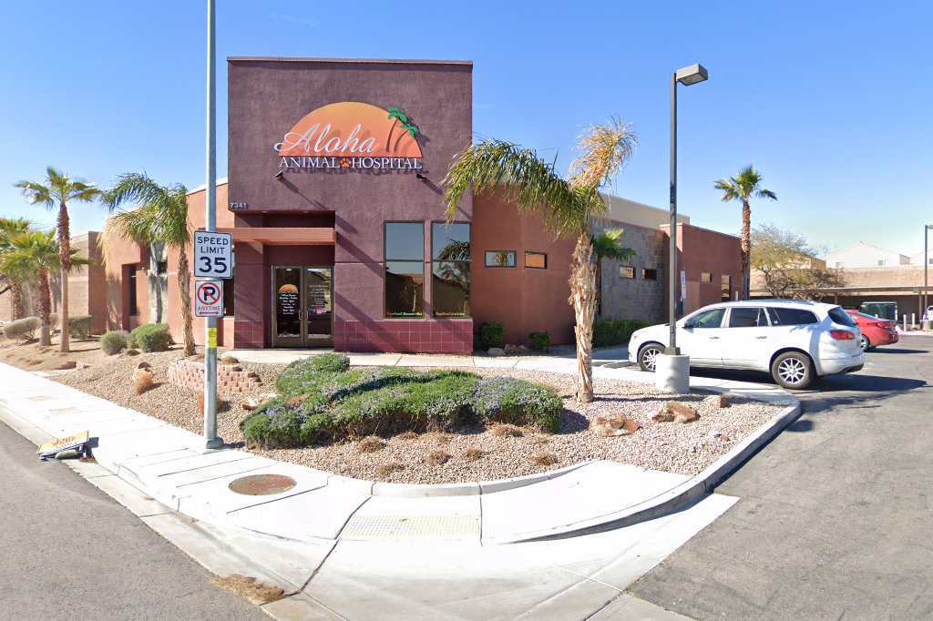 Animal Hospital in Las Vegas, NV CountyInfo