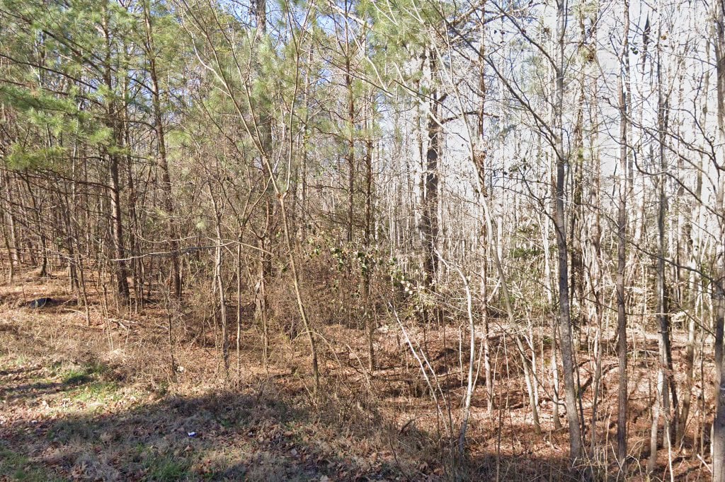 Greenville Housing Authority in Greenville, SC The County Office