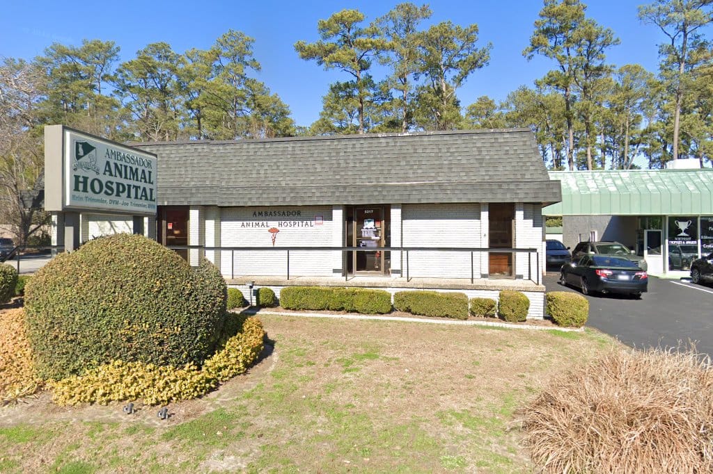 Elam Animal Hospital in Columbia, SC Pets TheCountyOffice