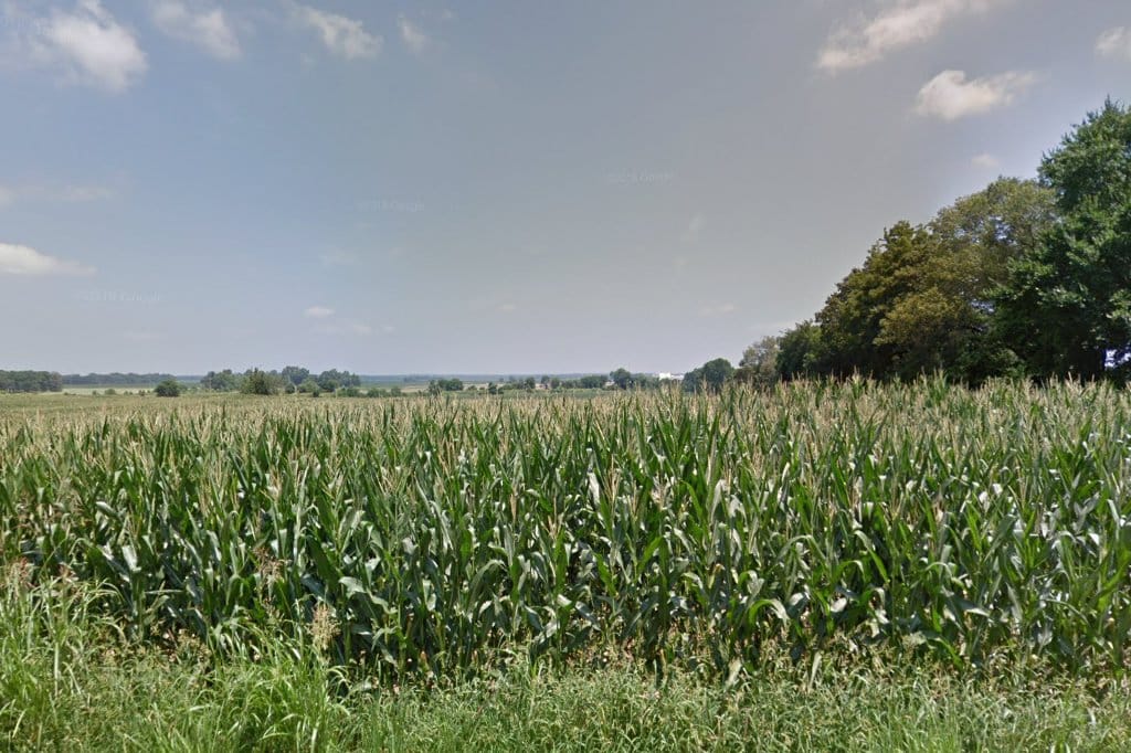 Millington DOS Driver License Station in Millington, TN The County Office