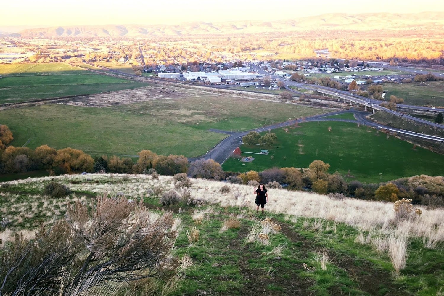 Goldendale Animal Shelter in Goldendale, WA Pets TheCountyOffice