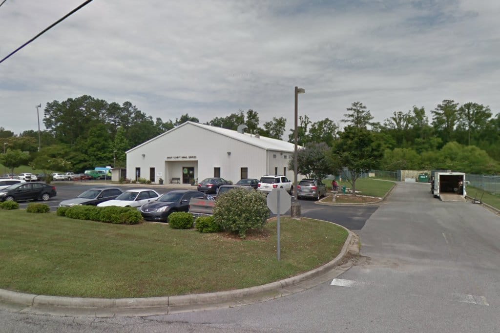 Animal Shelter in Shelby County, AL The County Office