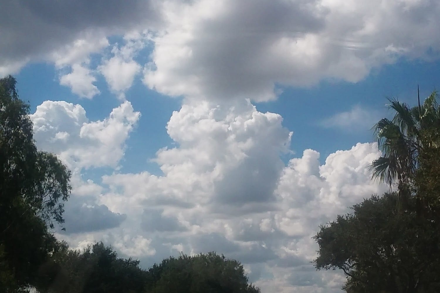 Housing Authority in Nueces County, TX The County Office