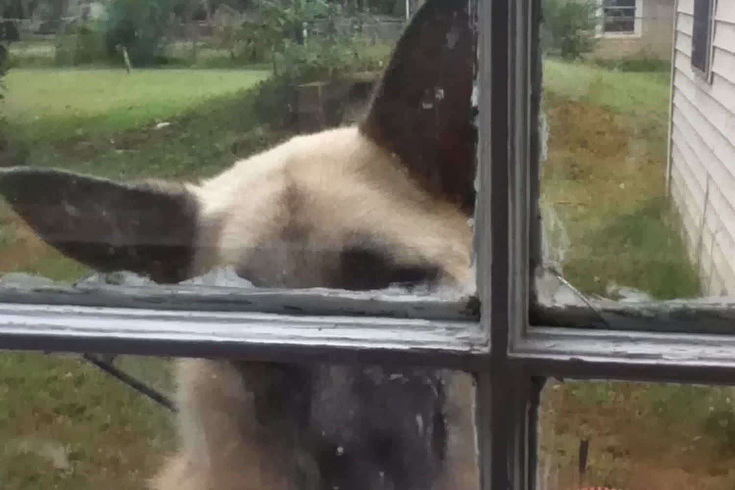 Housing Authority in Limestone County, AL The County Office