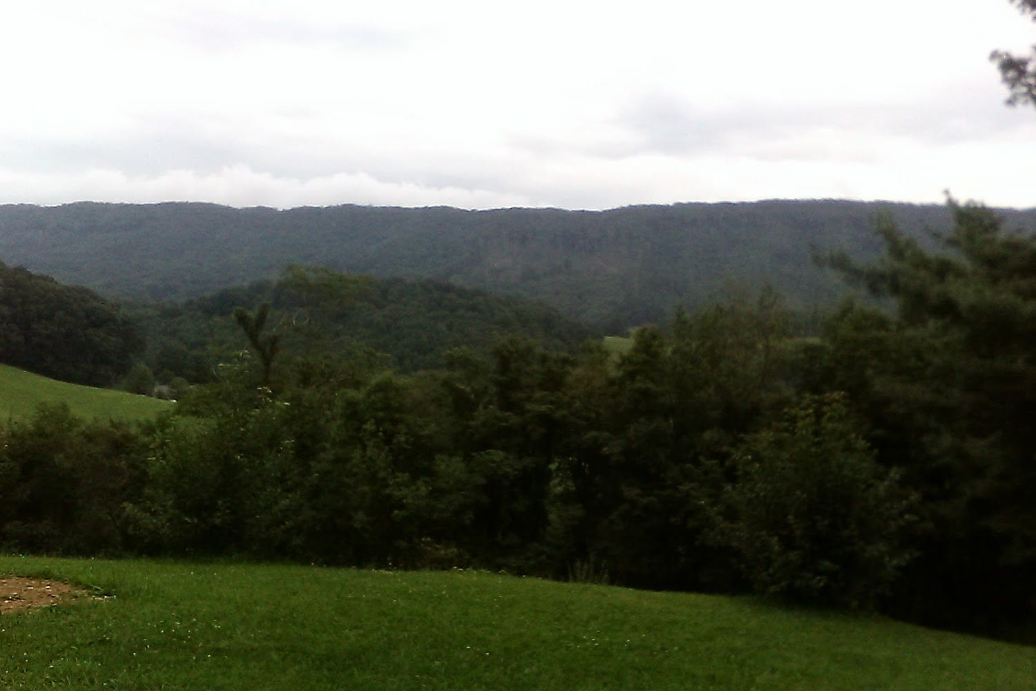 Animal Shelter in Tazewell County, VA The County Office