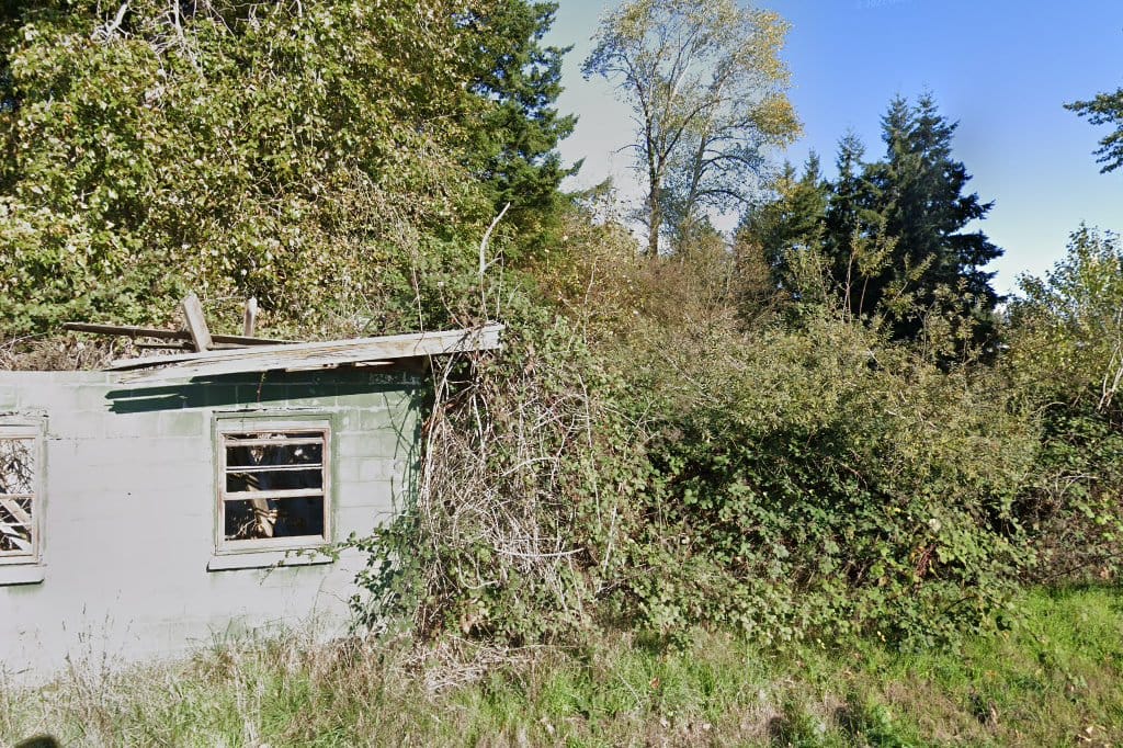 Animal Shelter in Skagit County, WA The County Office