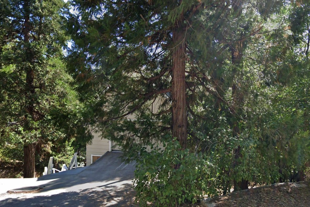 Big Bear Animal Shelter in Big Bear City, CA The County Office