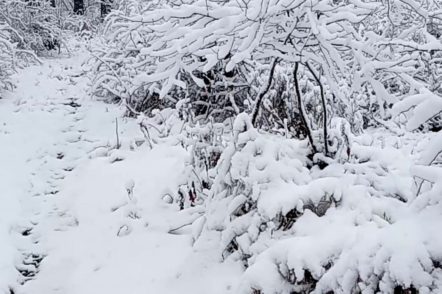 Westmoreland County Housing Authority in New Kensington, PA The