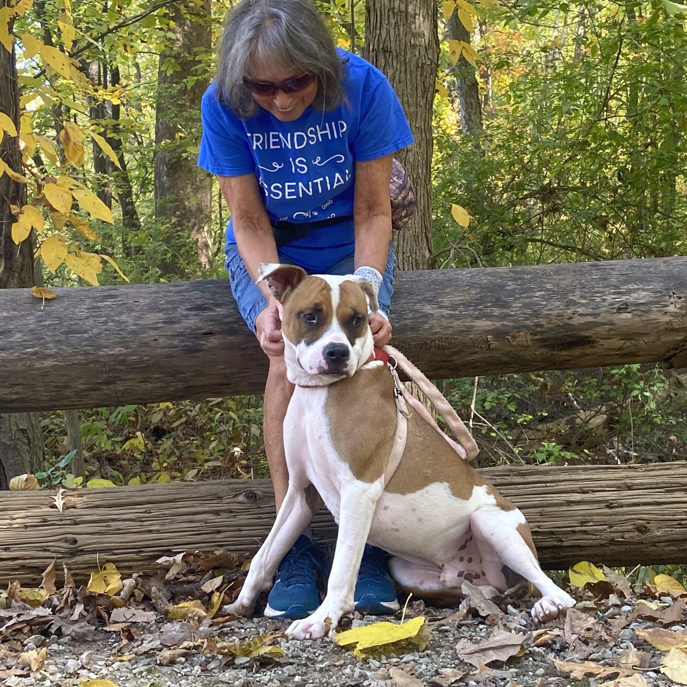 Adopt Bit Coin 240819 Today Pets TheCountyOffice