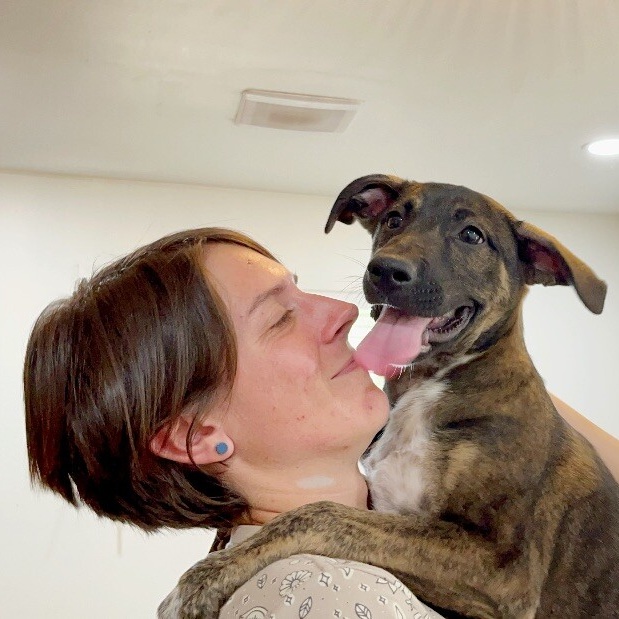 Adopt Brando Loves Belly Rubs Today Pets TheCountyOffice