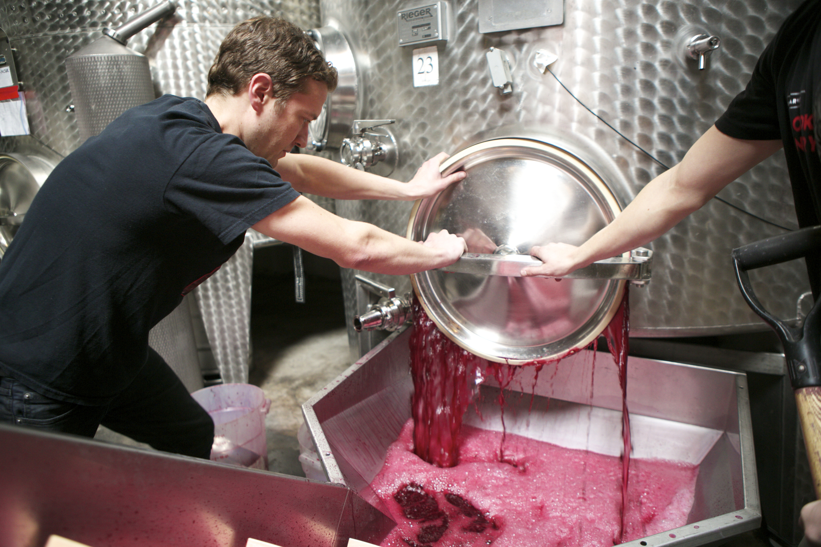 The 10 Best Wine Bars In New York