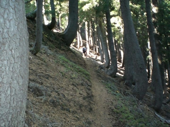 Early Warning Signs Of A Natural Disaster News