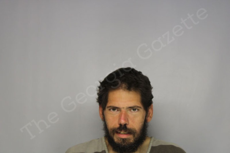 Randall Lewis Hall County Jail Bookings