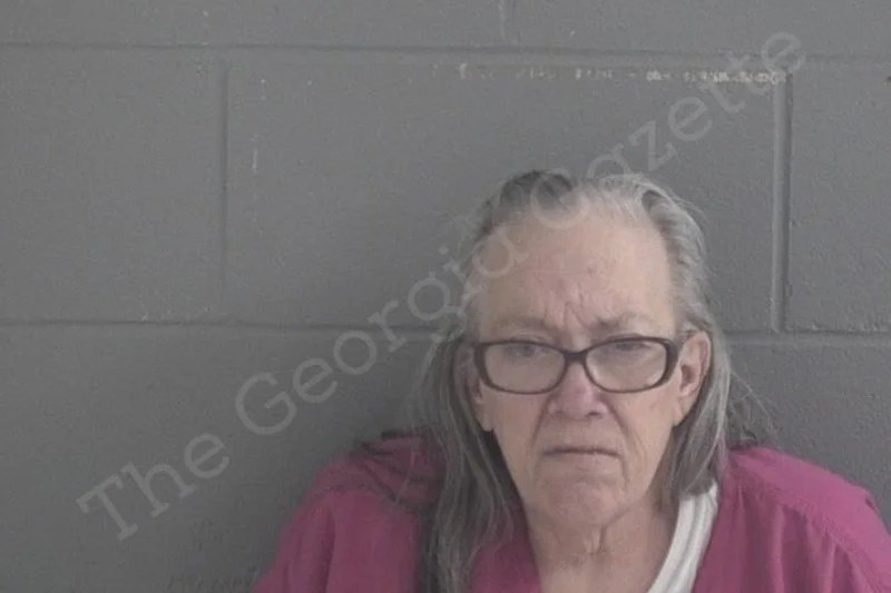 Teresa Decker Brantley County Jail Bookings