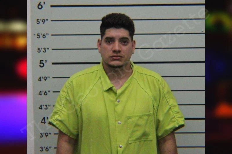 David Evia Suarez Turner County Jail Bookings