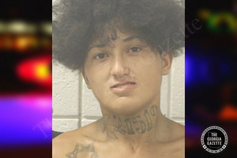 Jordan Morris Toombs County Jail Bookings