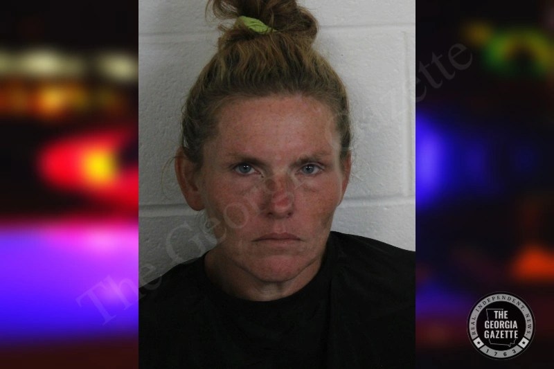 Carolyn Stoner Floyd County Jail Bookings