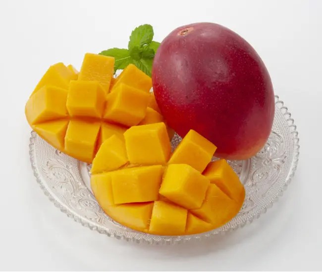For Mango Lovers Everything about World's Most Expensive Mango Miyazaki