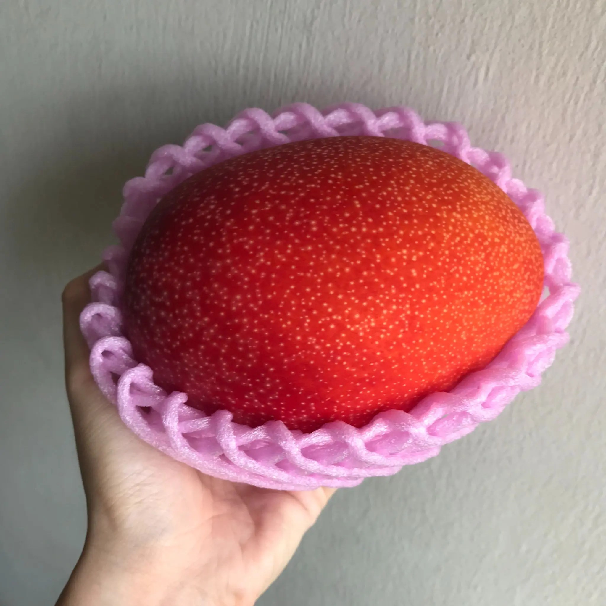 For Mango Lovers Everything about World's Most Expensive Mango Miyazaki