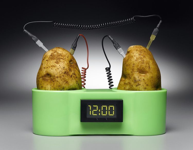 Unveiling The Electrical Properties Of Sweet Potatoes Exploring The