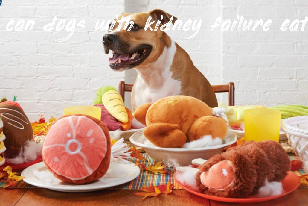 The Safety And Nutritional Benefits Of Myazuki Sweet Potatoes For Dogs