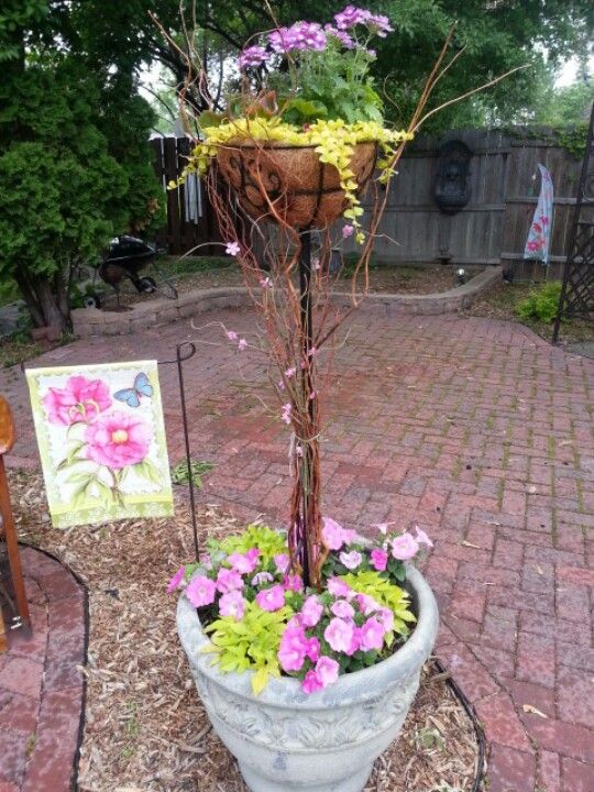 Creating Stunning Topiary Designs With Sweet Potato Vines