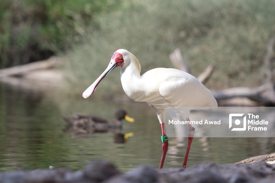 Creating a Stunning Photography Portfolio Tips to Showcase Your Skills