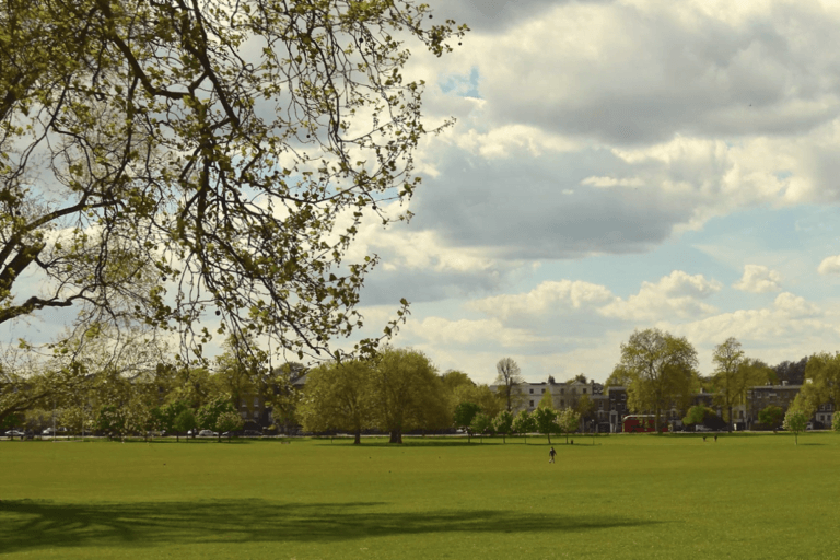 Things To Do In Peckham Car Park Concerts & Rooftop Cinemas