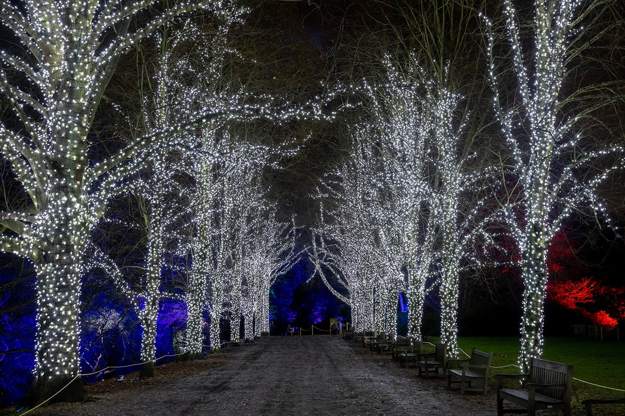 The Best Winter Light Trails in London 2022 An Illuminating Guide