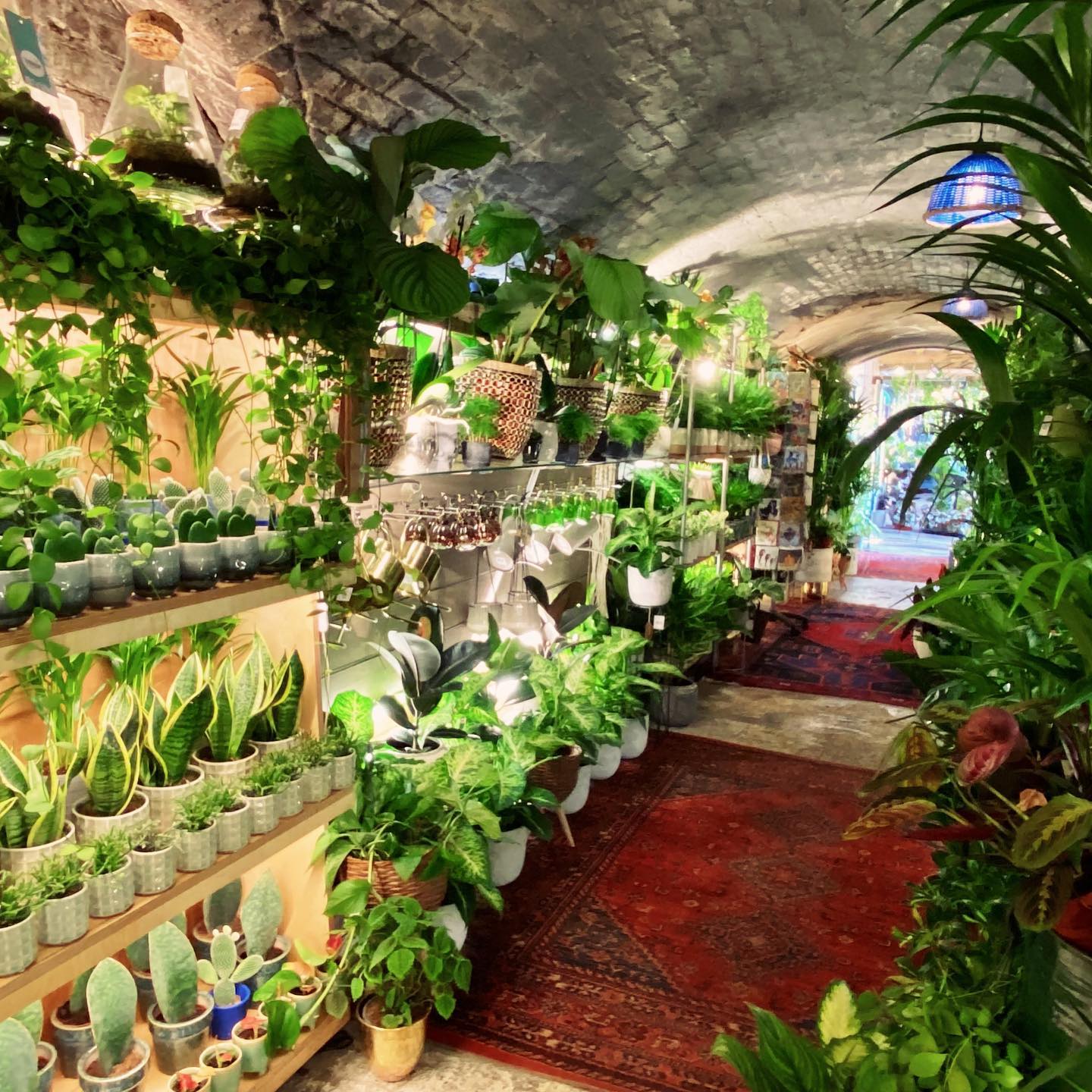 London's Best Plant Shops Make other green with envy