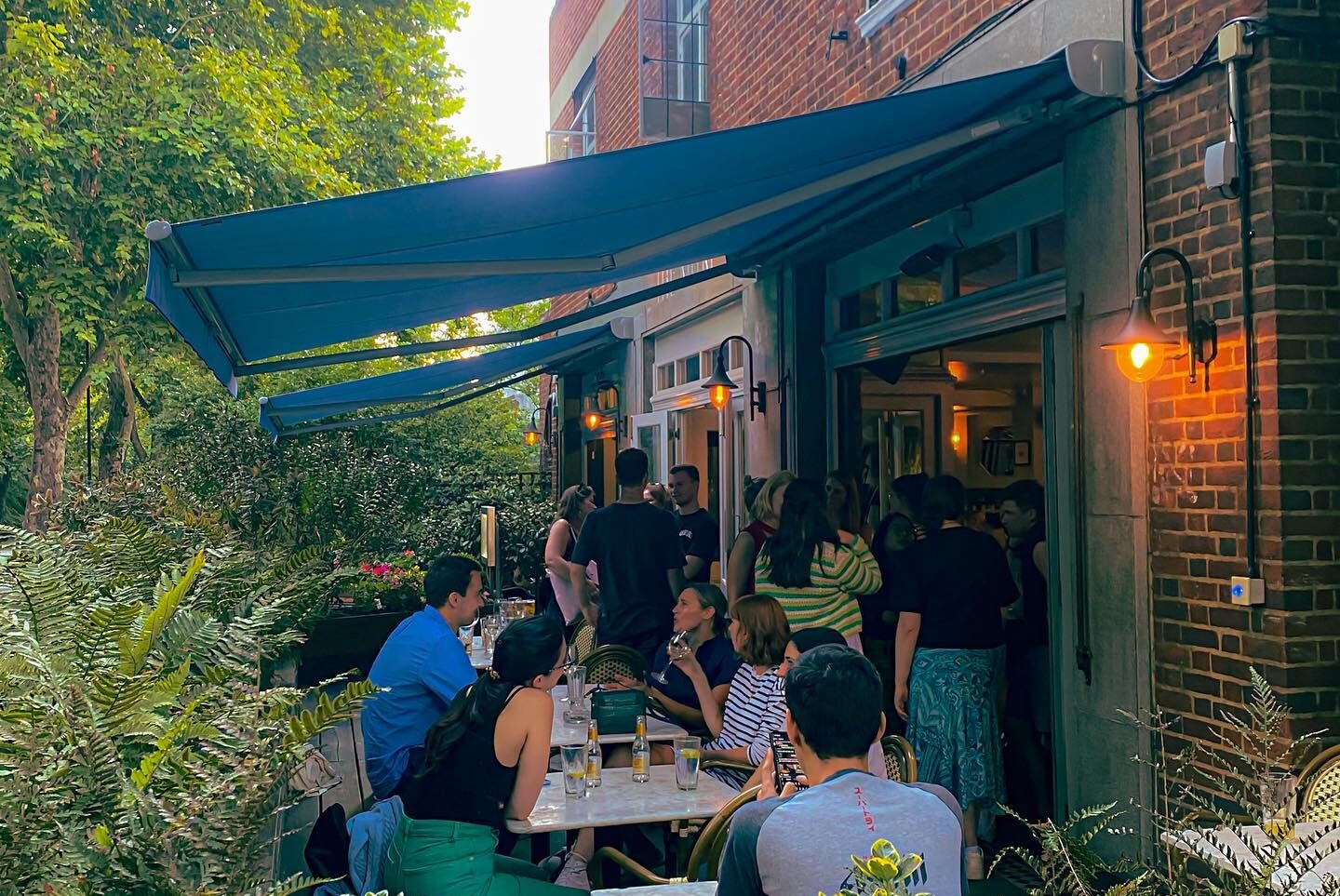The Best Pubs in Notting Hill The Nudge London