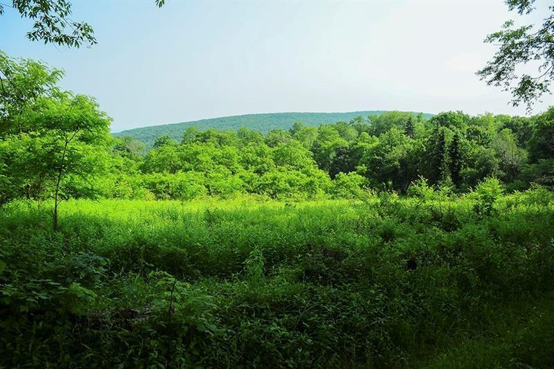 Lot 1, The Bluffs, Donegal, PA 15628 Donegal Real Estate