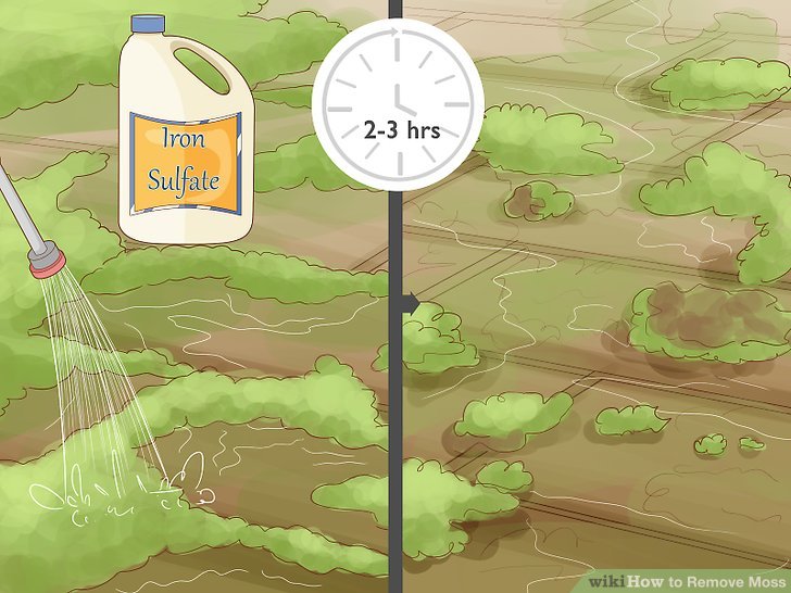 Remove Moss Easily With Pressure Washing A Guide On How To Get Rid Of Moss Outdoors The