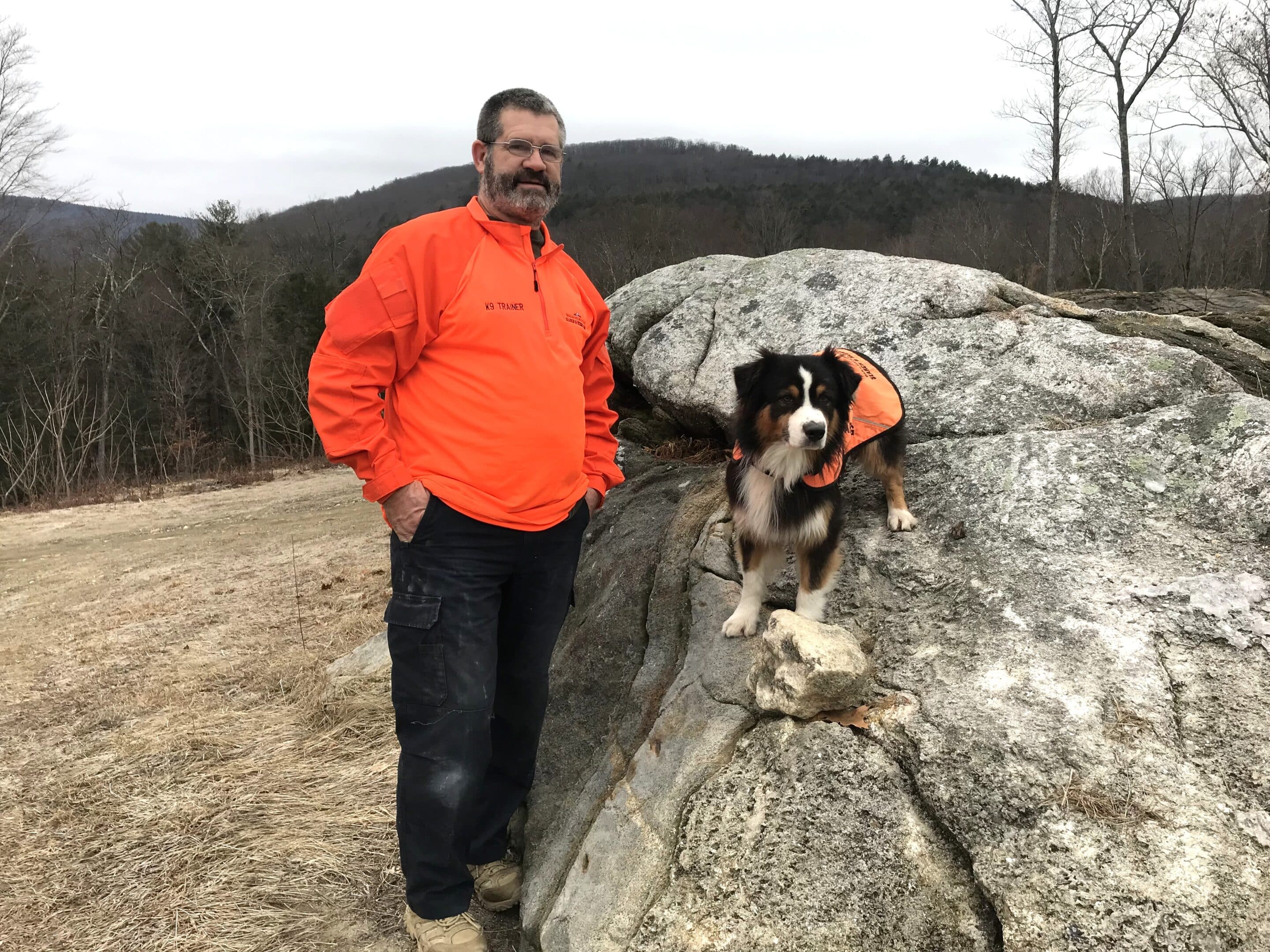 Dog officer new bylaws are ‘fines after fines after fines’ The Reminder