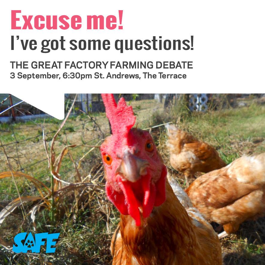 Preelection Factory Farming Debate « The Standard