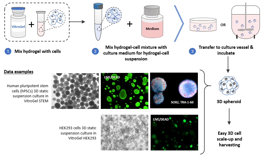 3D Cell Culture Methods and Applications TheWell Bioscience