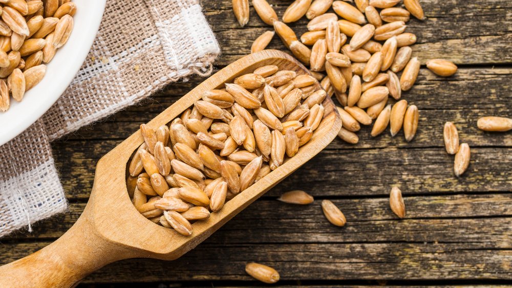 Is It Spelt Bougie Or Boujee TheWellFloured Kitchen