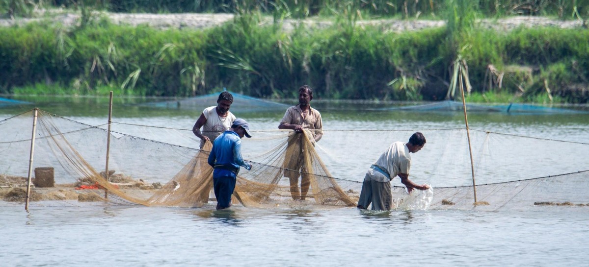 Fishing in the Shadow of a Megacity Delhi and Its ‘Unseen’ Fisherfolks