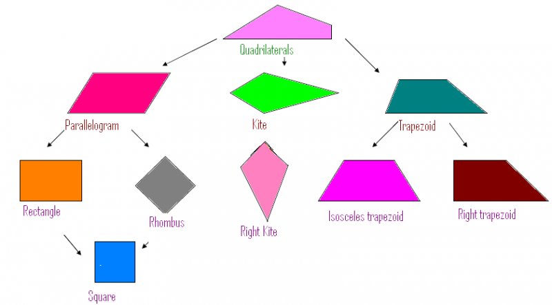 Quadrilaterals