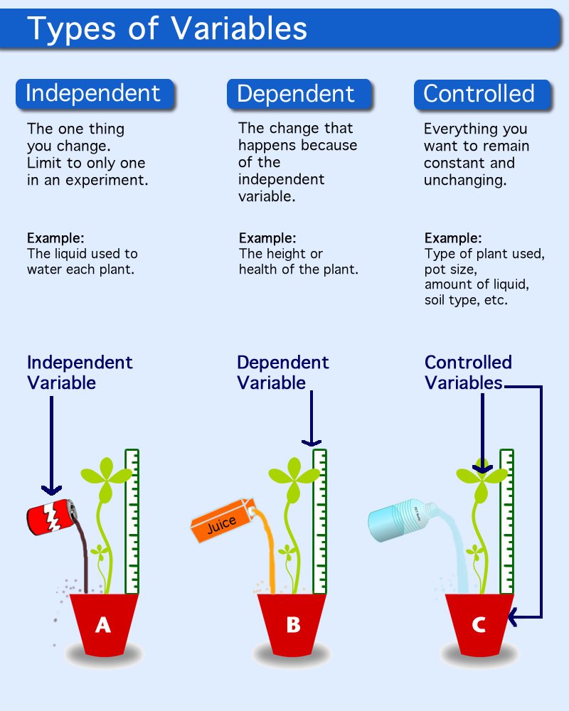 Dependent Variable