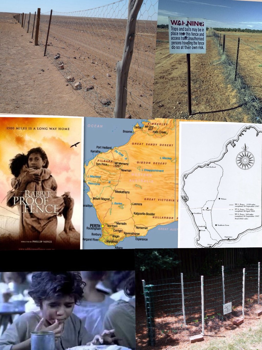 Rabbit proof fence