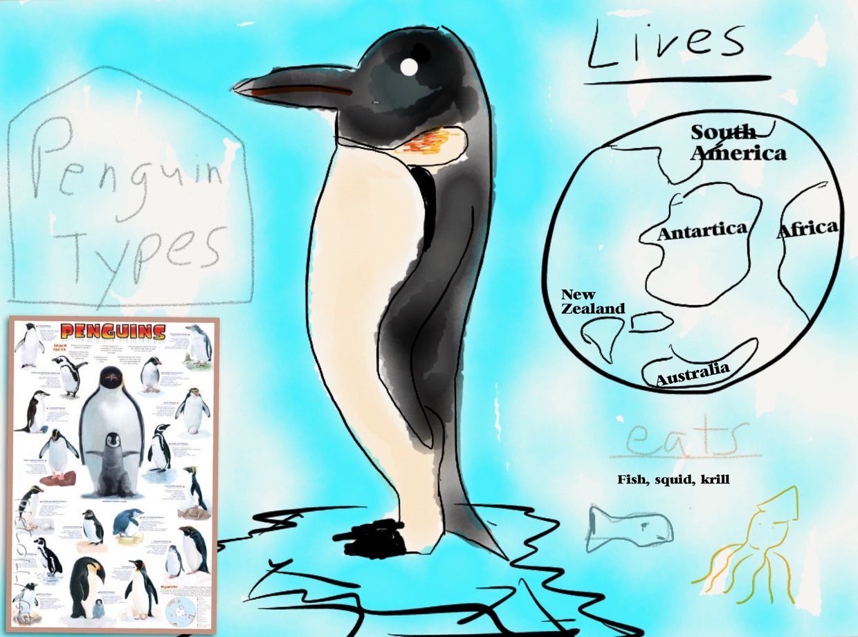 Penguins Galore