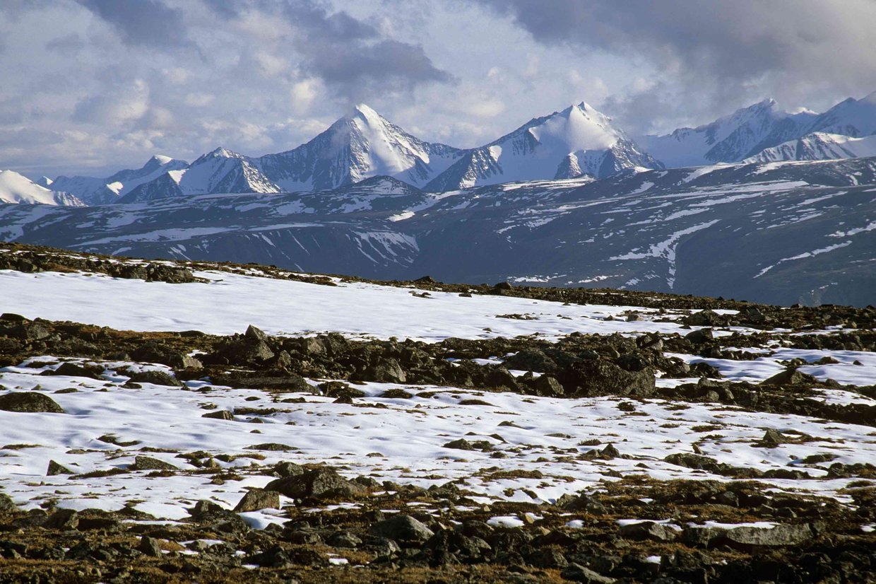 Arctic Tundra